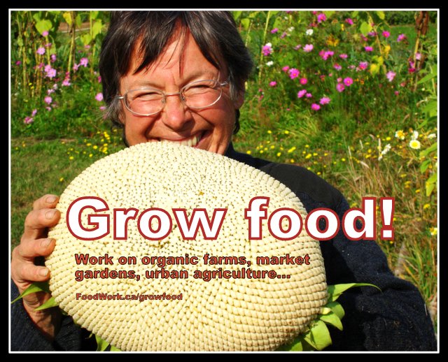 Jobs, internships and volunteering on organic farms, market gardens, urban agriculture, more: FoodWork.ca/GrowFood